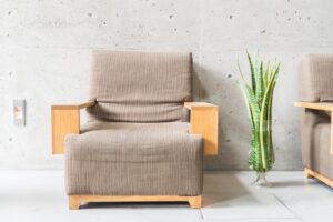 Poltrona decorativa de madeira: qual a diferença entre os tipos de madeira e como escolher a mais resistente?